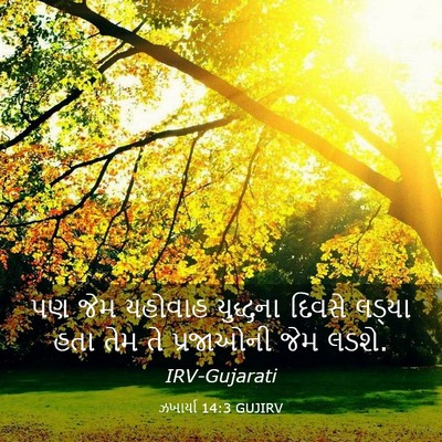 Picture 03 - ઝખાર્યા 14:3 GUJIRV - પણ જેમ યહોવાહ - Bible Verse Picture