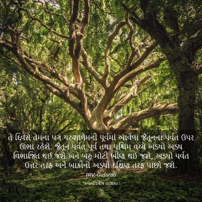 Picture 03 - ઝખાર્યા 14:4 GUJIRV - તે દિવસે તેમના પગ - Bible Verse Picture
