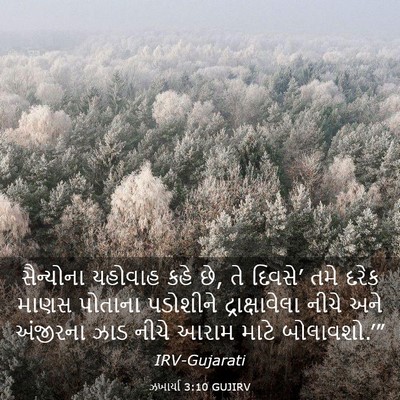 Picture 03 - ઝખાર્યા 3:10 GUJIRV - સૈન્યોના યહોવાહ - Bible Verse Picture