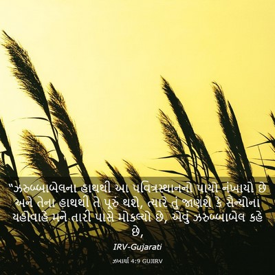 Picture 03 - ઝખાર્યા 4:9 GUJIRV - “ઝરુબ્બાબેલના - Bible Verse Picture