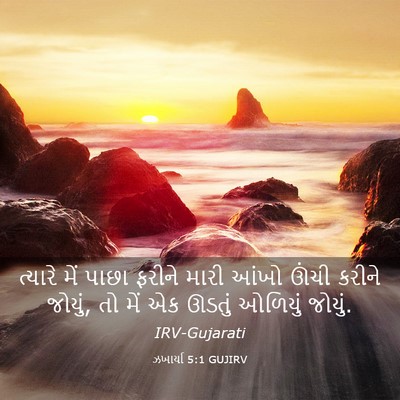 Picture 03 - ઝખાર્યા 5:1 GUJIRV - ત્યારે મેં પાછા - Bible Verse Picture