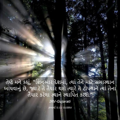 Picture 03 - ઝખાર્યા 5:11 GUJIRV - તેણે મને કહ્યું, - Bible Verse Picture