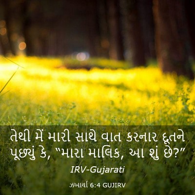 Picture 03 - ઝખાર્યા 6:4 GUJIRV - તેથી મેં મારી સાથે - Bible Verse Picture