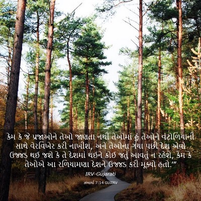 Picture 03 - ઝખાર્યા 7:14 GUJIRV - કેમ કે જે પ્રજાઓને - Bible Verse Picture