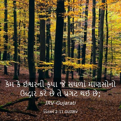 Picture 03 - તિતસને 2:11 GUJIRV - કેમ કે ઈશ્વરની - Bible Verse Picture