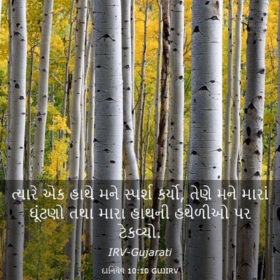 Picture 03 - દાનિયેલ 10:10 GUJIRV - ત્યારે એક હાથે મને - Bible Verse Picture