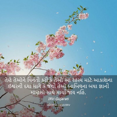 Picture 03 - દાનિયેલ 2:18 GUJIRV - તેણે તેઓને વિનંતી - Bible Verse Picture
