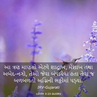 Picture 03 - દાનિયેલ 3:23 GUJIRV - આ ત્રણ માણસો એટલે - Bible Verse Picture