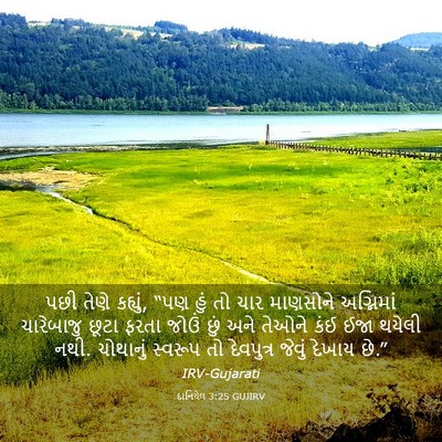 Picture 03 - દાનિયેલ 3:25 GUJIRV - પછી તેણે કહ્યું, - Bible Verse Picture