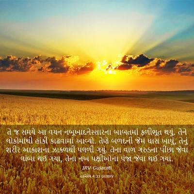 Picture 03 - દાનિયેલ 4:33 GUJIRV - તે જ સમયે આ વચન - Bible Verse Picture