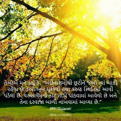 Picture 03 - નહેમ્યા 1:3 GUJIRV - તેઓએ મને કહ્યું કે, - Bible Verse Picture