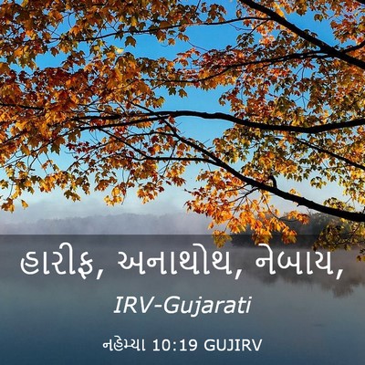 Picture 03 - નહેમ્યા 10:19 GUJIRV - હારીફ, અનાથોથ, - Bible Verse Picture