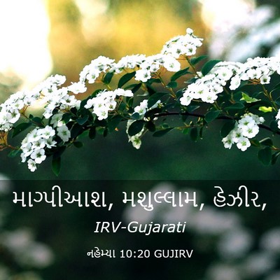 Picture 03 - નહેમ્યા 10:20 GUJIRV - માગ્પીઆશ, - Bible Verse Picture