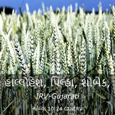 Picture 03 - નહેમ્યા 10:24 GUJIRV - હાલ્લોહેશ, પિલ્હા, - Bible Verse Picture