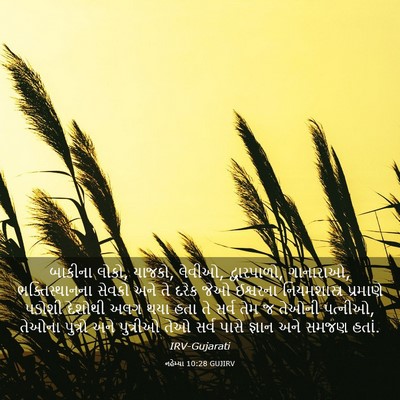 Picture 03 - નહેમ્યા 10:28 GUJIRV - બાકીના લોકો, યાજકો, - Bible Verse Picture