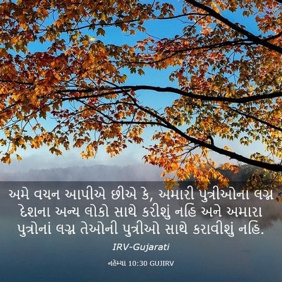 Picture 03 - નહેમ્યા 10:30 GUJIRV - અમે વચન આપીએ છીએ - Bible Verse Picture