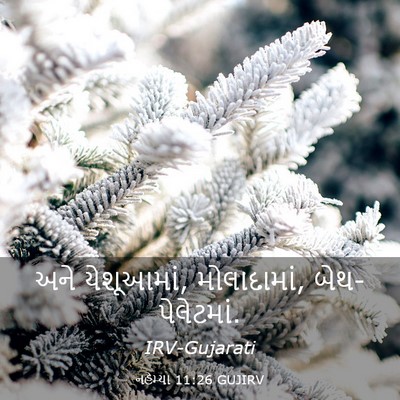 Picture 03 - નહેમ્યા 11:26 GUJIRV - અને યેશૂઆમાં, - Bible Verse Picture
