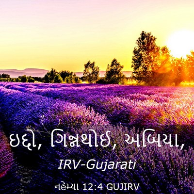 Picture 03 - નહેમ્યા 12:4 GUJIRV - ઇદ્દો, ગિન્નથોઈ, - Bible Verse Picture