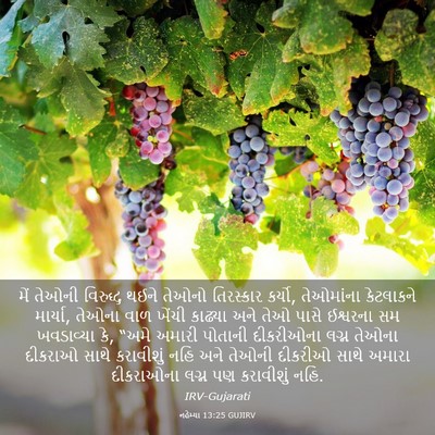 Picture 03 - નહેમ્યા 13:25 GUJIRV - મેં તેઓની વિરુદ્ધ - Bible Verse Picture
