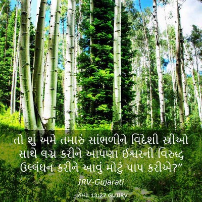 Picture 03 - નહેમ્યા 13:27 GUJIRV - તો શું અમે તમારું - Bible Verse Picture