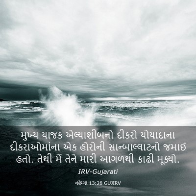 Picture 03 - નહેમ્યા 13:28 GUJIRV - મુખ્ય યાજક - Bible Verse Picture