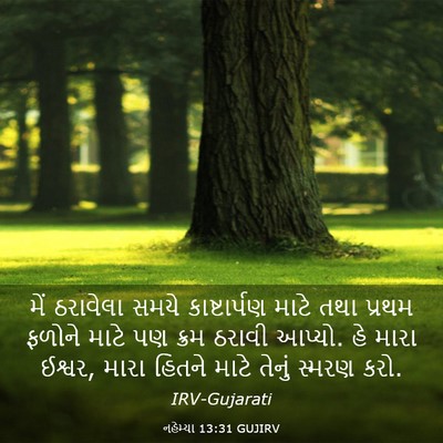 Picture 03 - નહેમ્યા 13:31 GUJIRV - મેં ઠરાવેલા સમયે - Bible Verse Picture