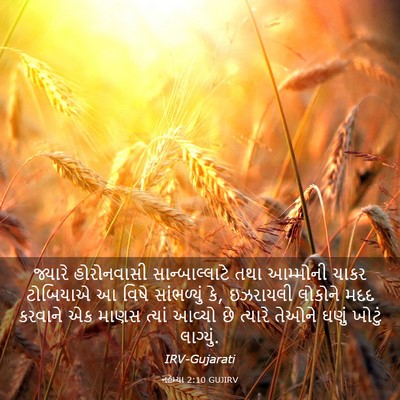 Picture 03 - નહેમ્યા 2:10 GUJIRV - જ્યારે હોરોનવાસી - Bible Verse Picture