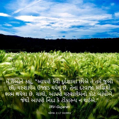 Picture 03 - નહેમ્યા 2:17 GUJIRV - મેં તેઓને કહ્યું, - Bible Verse Picture