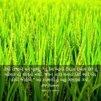 Picture 03 - નહેમ્યા 2:2 GUJIRV - તેથી રાજાએ મને - Bible Verse Picture