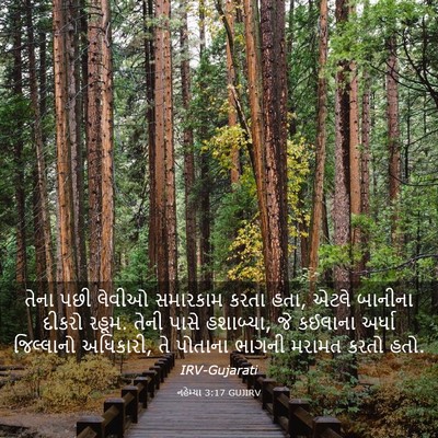 Picture 03 - નહેમ્યા 3:17 GUJIRV - તેના પછી લેવીઓ - Bible Verse Picture