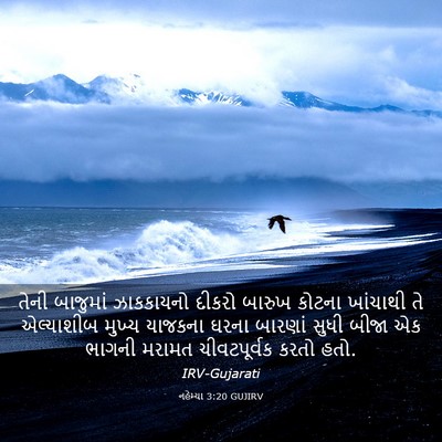 Picture 03 - નહેમ્યા 3:20 GUJIRV - તેની બાજુમાં - Bible Verse Picture