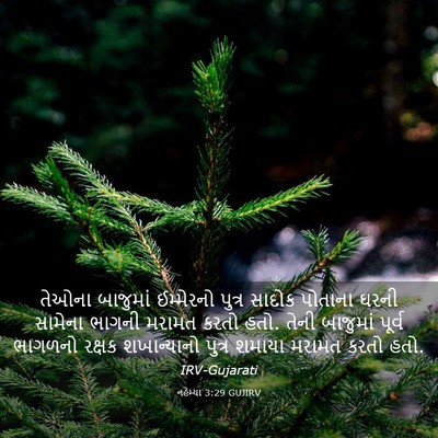 Picture 03 - નહેમ્યા 3:29 GUJIRV - તેઓના બાજુમાં - Bible Verse Picture