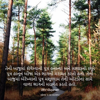 Picture 03 - નહેમ્યા 3:30 GUJIRV - તેની બાજુમાં - Bible Verse Picture