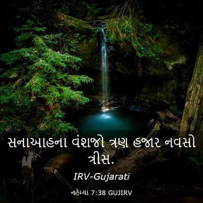 Picture 03 - નહેમ્યા 7:38 GUJIRV - સનાઆહના વંશજો - Bible Verse Picture