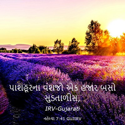 Picture 03 - નહેમ્યા 7:41 GUJIRV - પાશહૂરના વંશજો એક - Bible Verse Picture