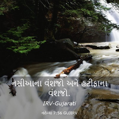 Picture 03 - નહેમ્યા 7:56 GUJIRV - નસીઆના વંશજો અને - Bible Verse Picture