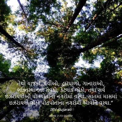Picture 03 - નહેમ્યા 7:73 GUJIRV - તેથી યાજકો, લેવીઓ, - Bible Verse Picture
