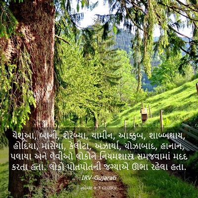 Picture 03 - નહેમ્યા 8:7 GUJIRV - યેશૂઆ, બાની, - Bible Verse Picture