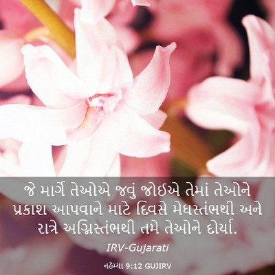Picture 03 - નહેમ્યા 9:12 GUJIRV - જે માર્ગે તેઓએ - Bible Verse Picture