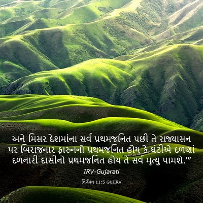 Picture 03 - નિર્ગમન 11:5 GUJIRV - અને મિસર દેશમાંના - Bible Verse Picture