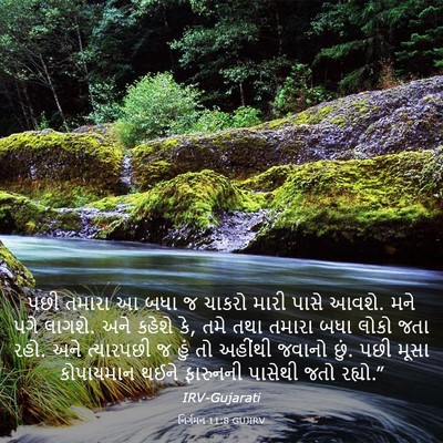 Picture 03 - નિર્ગમન 11:8 GUJIRV - પછી તમારા આ બધા જ - Bible Verse Picture
