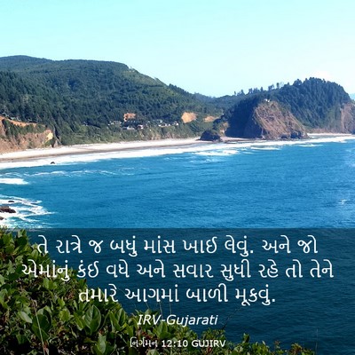 Picture 03 - નિર્ગમન 12:10 GUJIRV - તે રાત્રે જ બધું - Bible Verse Picture