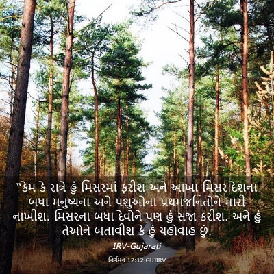 Picture 03 - નિર્ગમન 12:12 GUJIRV - “કેમ કે રાત્રે હું - Bible Verse Picture