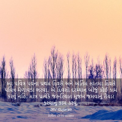 Picture 03 - નિર્ગમન 12:16 GUJIRV - આ પવિત્ર પર્વના - Bible Verse Picture
