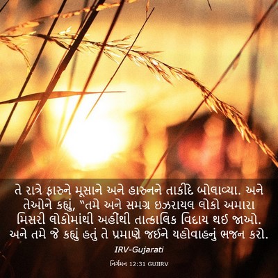Picture 03 - નિર્ગમન 12:31 GUJIRV - તે રાત્રે ફારુને - Bible Verse Picture