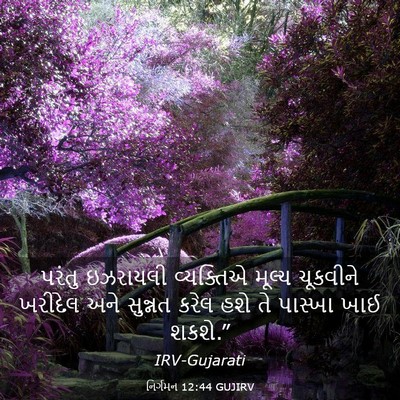 Picture 03 - નિર્ગમન 12:44 GUJIRV - પરંતુ ઇઝરાયલી - Bible Verse Picture