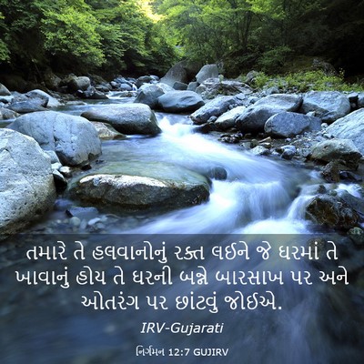 Picture 03 - નિર્ગમન 12:7 GUJIRV - તમારે તે - Bible Verse Picture