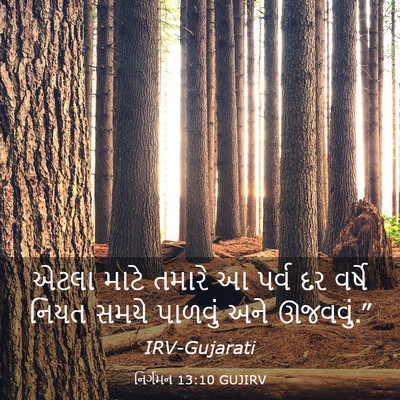 Picture 03 - નિર્ગમન 13:10 GUJIRV - એટલા માટે તમારે આ - Bible Verse Picture