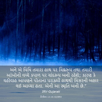 Picture 03 - નિર્ગમન 13:16 GUJIRV - અને એ વિધિ તમારા - Bible Verse Picture