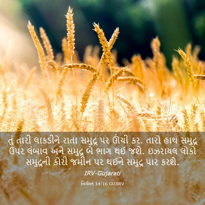 Picture 03 - નિર્ગમન 14:16 GUJIRV - તું તારી લાકડીને - Bible Verse Picture